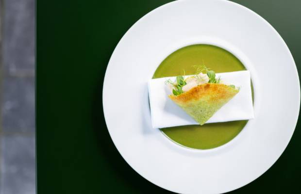 Al Gatto Verde